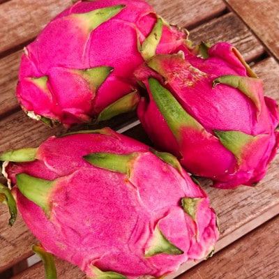 【2026年7月下旬から順次発送】富平農園のドラゴンフルーツ2kg(4～6玉)