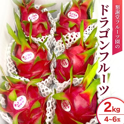 【2026年7月下旬から順次発送】懇謝堂フルーツ園のドラゴンフルーツ2kg(4～6玉)