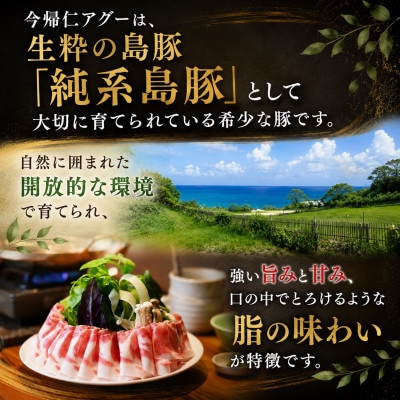 幻の豚 今帰仁アグー まるごと一頭(約30kg)