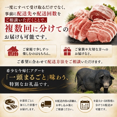 幻の豚 今帰仁アグー まるごと一頭(約30kg)