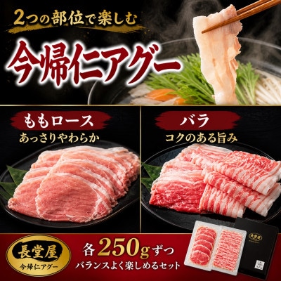 【熨斗付き】今帰仁アグーしゃぶしゃぶ2種食べ比べセット 500g(ももロース・バラ 各250g)