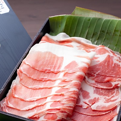 【熨斗付き】今帰仁アグーしゃぶしゃぶ2種食べ比べセット 500g(ももロース・バラ 各250g)