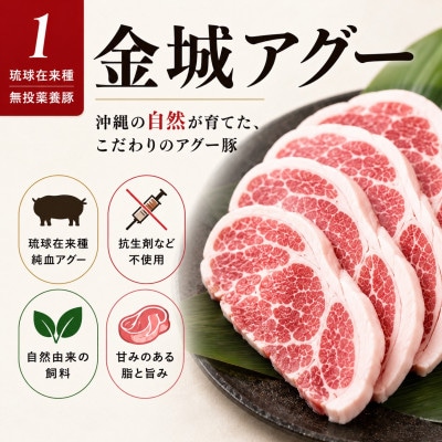 金城ミートのバーベキューセット 3人前(県産和牛・アグー豚・鶏・ウインナー・野菜付き)