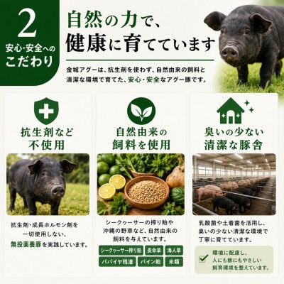 金城ミートのバーベキューセット 3人前(県産和牛・アグー豚・鶏・ウインナー・野菜付き)
