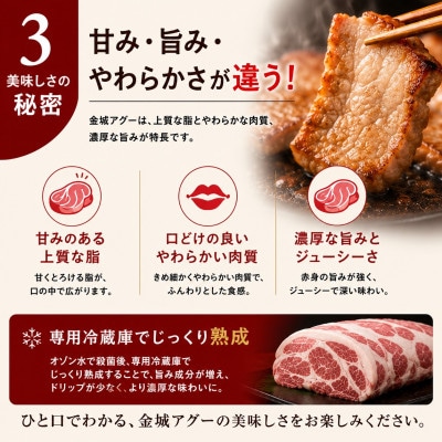 金城ミートのバーベキューセット 3人前(県産和牛・アグー豚・鶏・ウインナー・野菜付き)