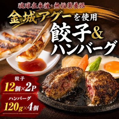 【琉球在来種・無投薬養豚】金城アグーを使用!餃子12個×2P&ハンバーグ120g×4個