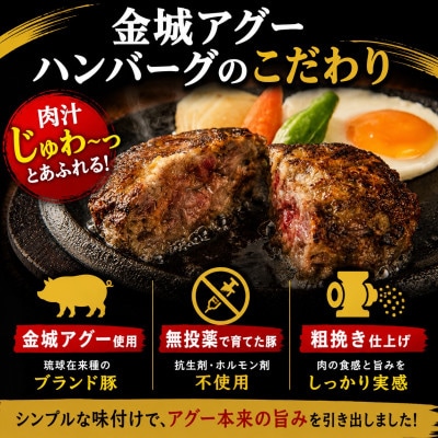 【琉球在来種・無投薬養豚】金城アグーを使用!餃子12個×2P&ハンバーグ120g×4個