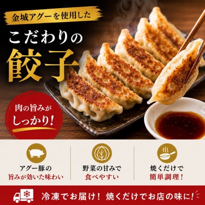 【琉球在来種・無投薬養豚】金城アグーを使用!餃子12個×2P&ハンバーグ120g×4個
