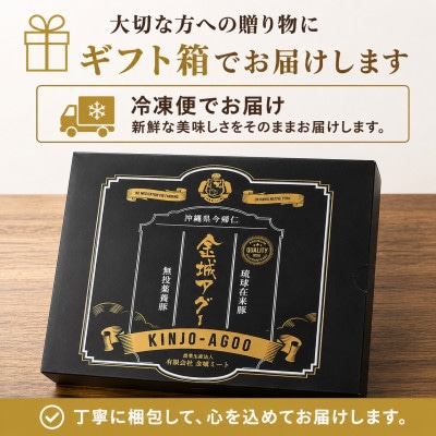 【琉球在来種・無投薬養豚】金城アグーを使用!餃子12個×2P&ハンバーグ120g×4個
