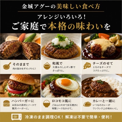 【琉球在来種・無投薬養豚】金城アグーハンバーグ 120g×8個