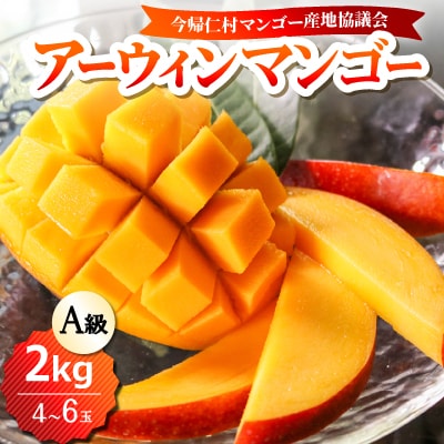 【2026年6月下旬から順次発送】今帰仁産のA級アップルマンゴー2kg(4～6玉)