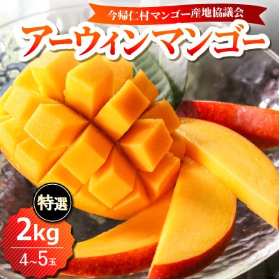 【2026年6月下旬から順次発送】今帰仁産の特選アップルマンゴー2kg(4～5玉)