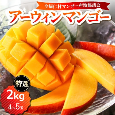 【2026年6月下旬から順次発送】今帰仁産の特選アップルマンゴー2kg(4～5玉)