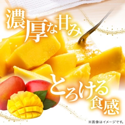 【2026年6月下旬から順次発送】今帰仁産の特選アップルマンゴー2kg(4～5玉)
