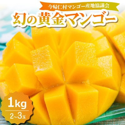 【2026年7月中旬から順次発送】今帰仁産の幻の黄金マンゴー1kg(2～3玉)