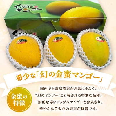 【2026年7月中旬から順次発送】今帰仁産の幻の黄金マンゴー1kg(2～3玉)