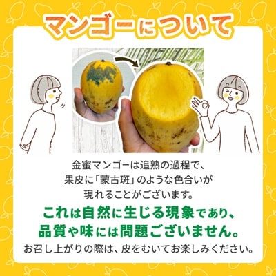 【2026年7月中旬から順次発送】今帰仁産の幻の黄金マンゴー1kg(2～3玉)