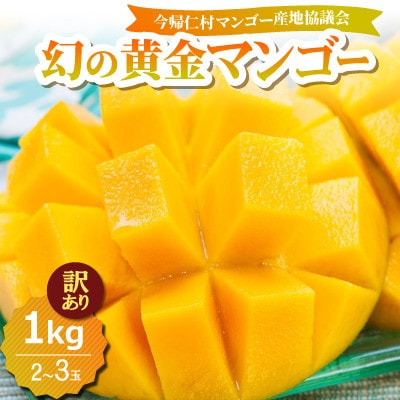 【2026年7月中旬から順次発送・訳あり】今帰仁産の幻の黄金マンゴー1kg(2～3玉)