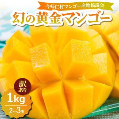 【2026年7月中旬から順次発送・訳あり】今帰仁産の幻の黄金マンゴー1kg(2～3玉)