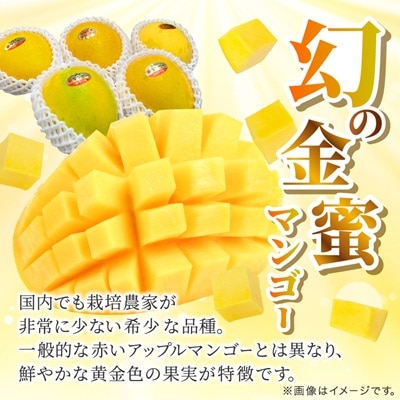 【2026年7月中旬から順次発送・訳あり】今帰仁産の幻の黄金マンゴー1kg(2～3玉)