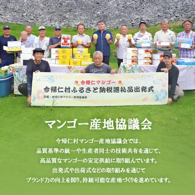 【2026年7月中旬から順次発送・訳あり】今帰仁産の幻の黄金マンゴー1kg(2～3玉)