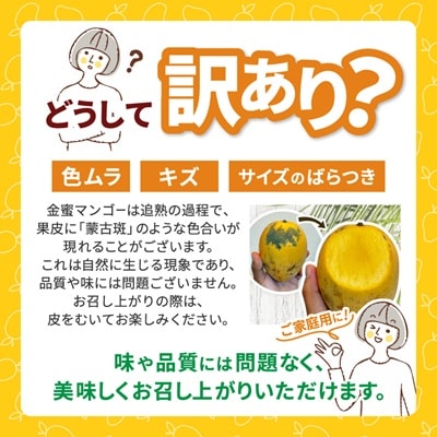 【2026年7月中旬から順次発送・訳あり】今帰仁産の幻の黄金マンゴー1kg(2～3玉)