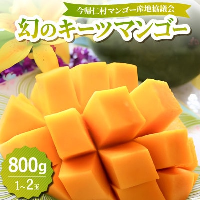 【2026年8月中旬から順次発送】今帰仁産の幻のキーツマンゴー800g(1～2玉)