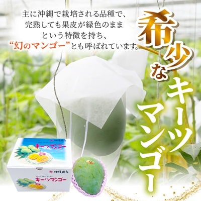 【2026年8月中旬から順次発送】今帰仁産の幻のキーツマンゴー1.5kg(2～3玉)