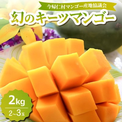 【2026年8月中旬から順次発送】今帰仁産の幻のキーツマンゴー2kg(2～3玉)