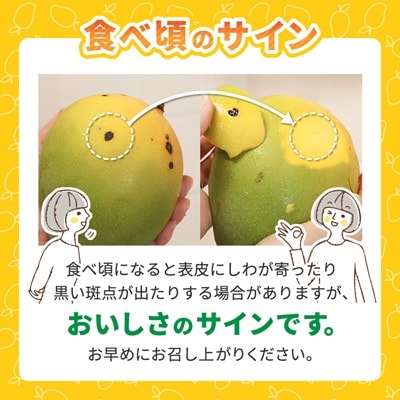 【2026年8月中旬から順次発送】今帰仁産の幻のキーツマンゴー2kg(2～3玉)