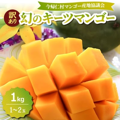 【2026年8月中旬から順次発送・訳あり】今帰仁産の幻のキーツマンゴー1kg(1～2玉)