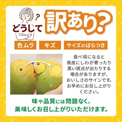 【2026年8月中旬から順次発送・訳あり】今帰仁産の幻のキーツマンゴー1kg(1～2玉)