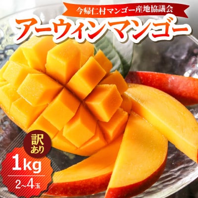 【2026年6月下旬から順次発送・訳あり】今帰仁産のアップルマンゴー1kg(2～4玉)