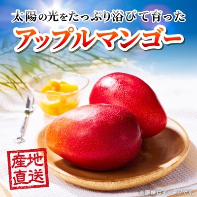 【2026年6月下旬から順次発送・訳あり】今帰仁産のアップルマンゴー1kg(2～4玉)