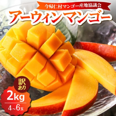 【2026年6月下旬から順次発送・訳あり】今帰仁産のアップルマンゴー2kg(4～6玉)