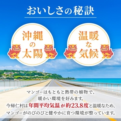 【2026年6月下旬から順次発送・訳あり】今帰仁産のアップルマンゴー2kg(4～6玉)
