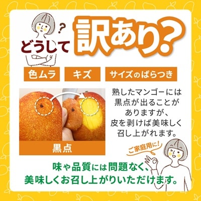 【2026年6月下旬から順次発送・訳あり】今帰仁産のアップルマンゴー2kg(4～6玉)