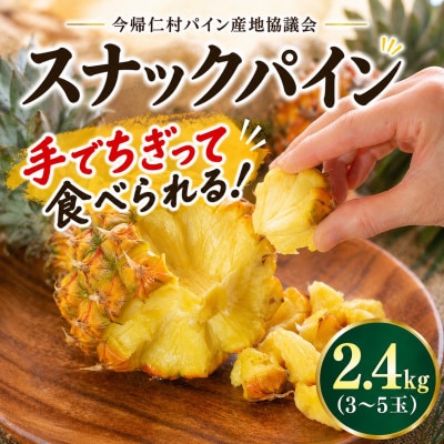 【2026年5月中旬から順次発送】今帰仁村パイン産地協議会 スナックパイン2.4kg(3～5玉)