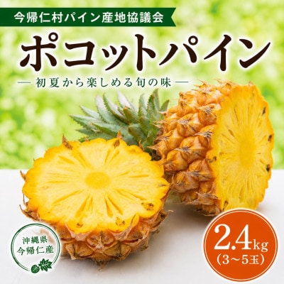 【2026年5月中旬から順次発送】今帰仁村パイン産地協議会 ポコットパイン2.4kg(3～5玉)