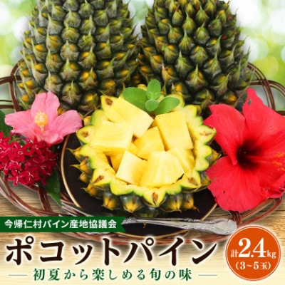 【2027年5月中旬から順次発送】今帰仁村パイン産地協議会 ポコットパイン2.4kg(3～5玉)