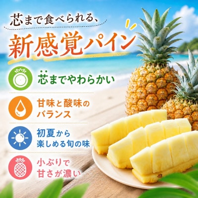 【2026年5月中旬から順次発送】今帰仁村パイン産地協議会 ポコットパイン2.4kg(3～5玉)
