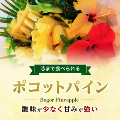 【2027年5月中旬から順次発送】今帰仁村パイン産地協議会 ポコットパイン2.4kg(3～5玉)