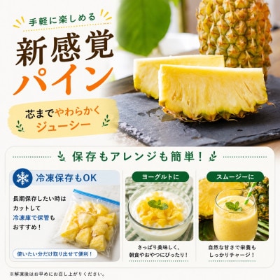 【2026年5月中旬から順次発送】今帰仁村パイン産地協議会 スナックパイン2.4kg(3～5玉)