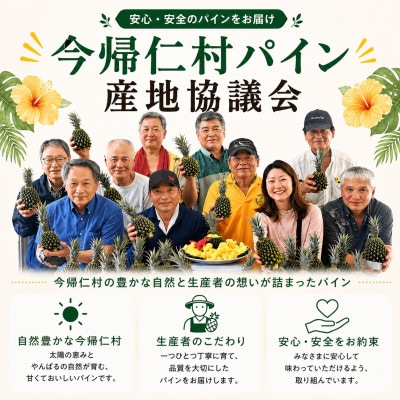 【2026年5月中旬から順次発送】今帰仁村パイン産地協議会 スナックパイン2.4kg(3～5玉)