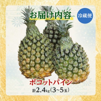 【2027年5月中旬から順次発送】今帰仁村パイン産地協議会 ポコットパイン2.4kg(3～5玉)
