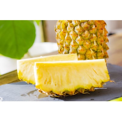 【2026年6月下旬から順次発送】今帰仁村パイン産地協議会 ゴールドバレル1.8kg(1～2玉)