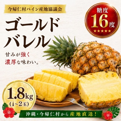 【2026年6月下旬から順次発送】今帰仁村パイン産地協議会 ゴールドバレル1.8kg(1～2玉)