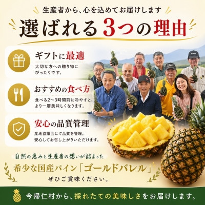 【2026年6月下旬から順次発送】今帰仁村パイン産地協議会 ゴールドバレル1.8kg(1～2玉)