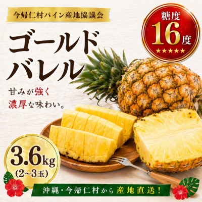 【2026年6月下旬から順次発送】今帰仁村パイン産地協議会 ゴールドバレル3.6kg(2～3玉)