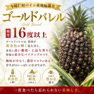 【2026年6月下旬から順次発送】今帰仁村パイン産地協議会 ゴールドバレル3.6kg(2～3玉)